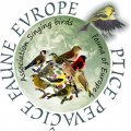 CLAN PPFE